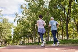 解析迈阿密马林鱼队如何挖掘拉美天才并将其培养为全明星级投手